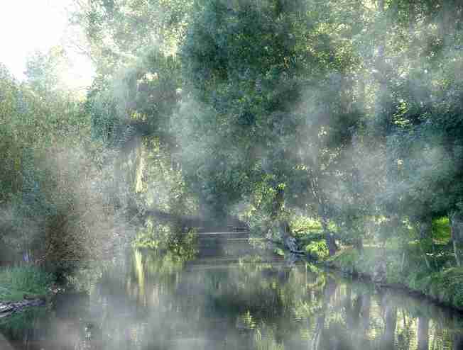 photo de brume sur le Marais-Poitevin