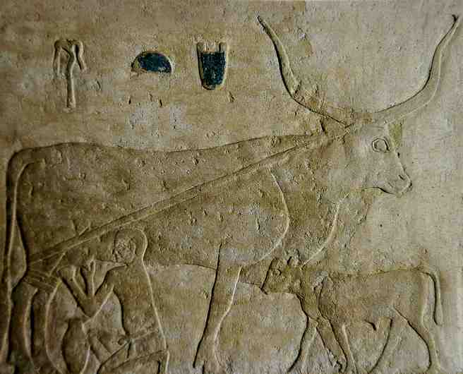 Bas relief de l'Egypte antique