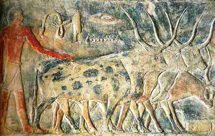 Bas relief de l'Egypte antique